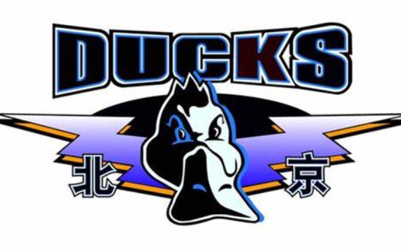 媒体人：张云松正式从首钢副总经理升任为俱乐部总经理